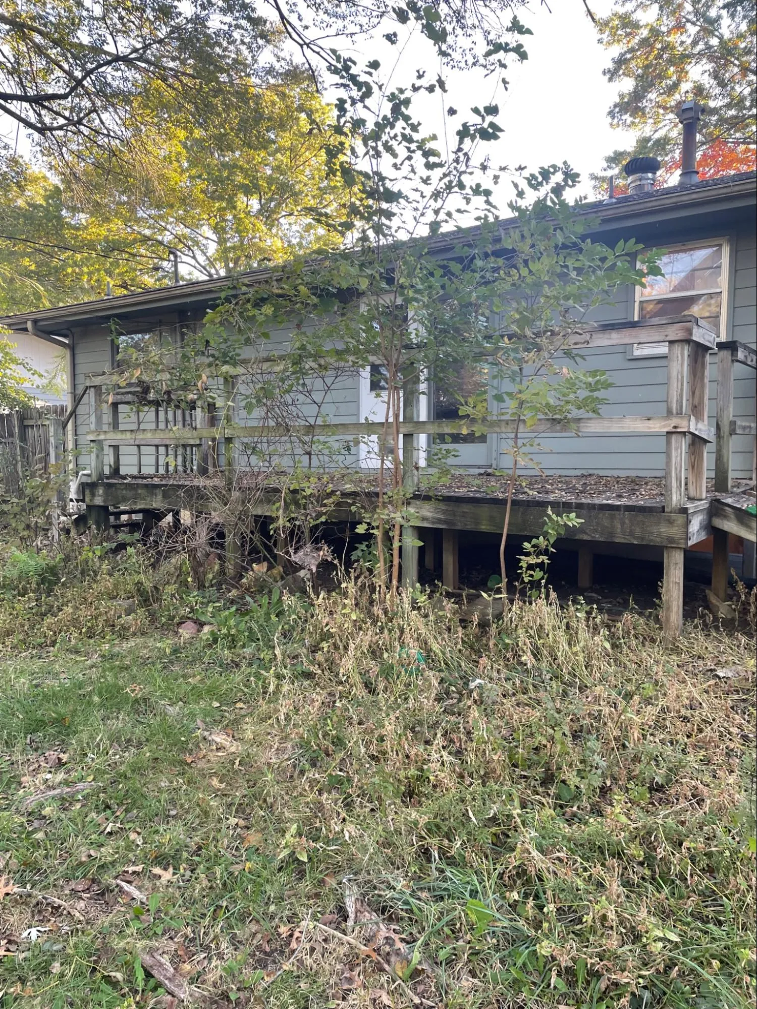 Deck inspection showing wood rot and weathered boards