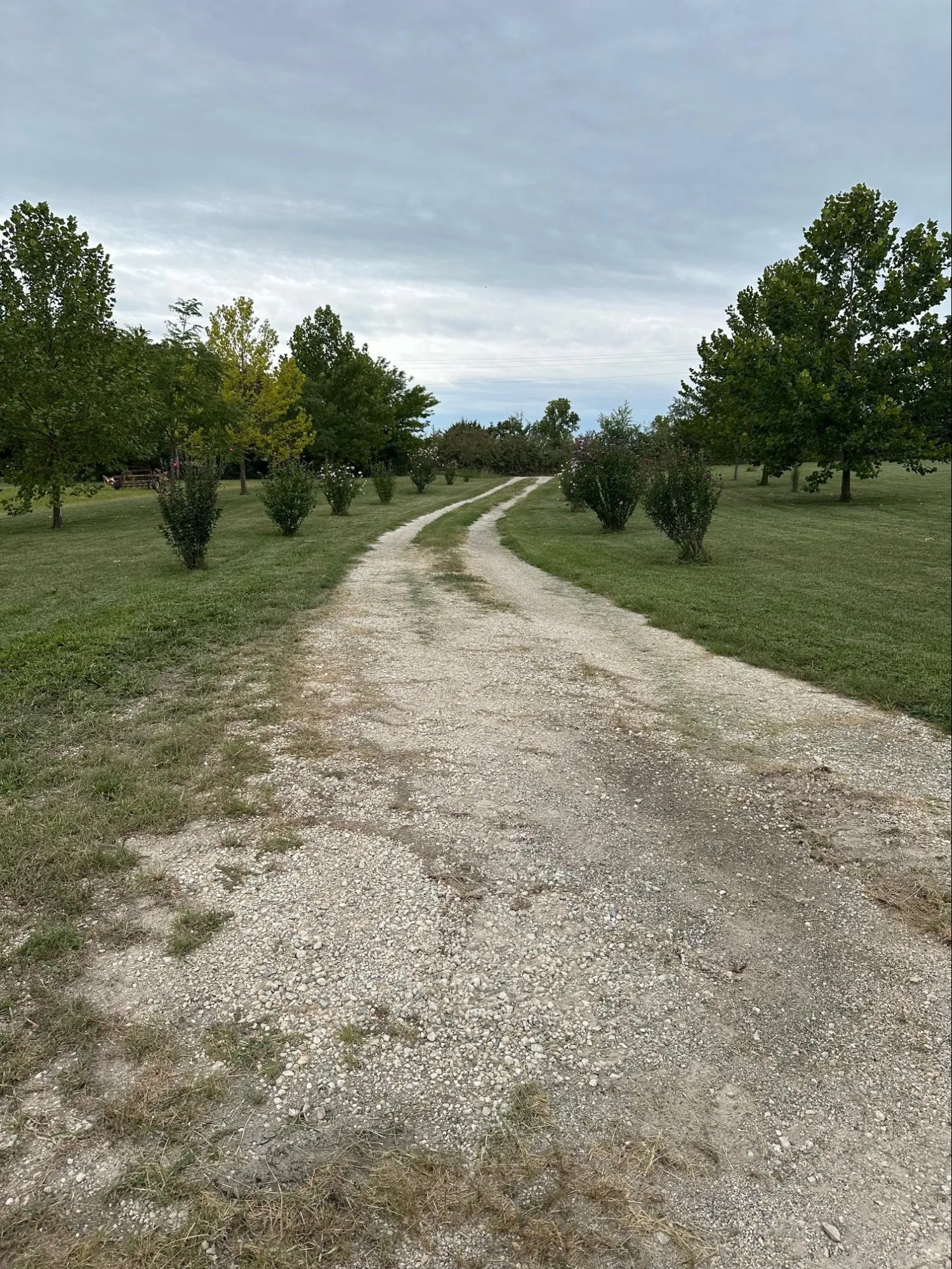 Concrete and gravel driveway installation projects