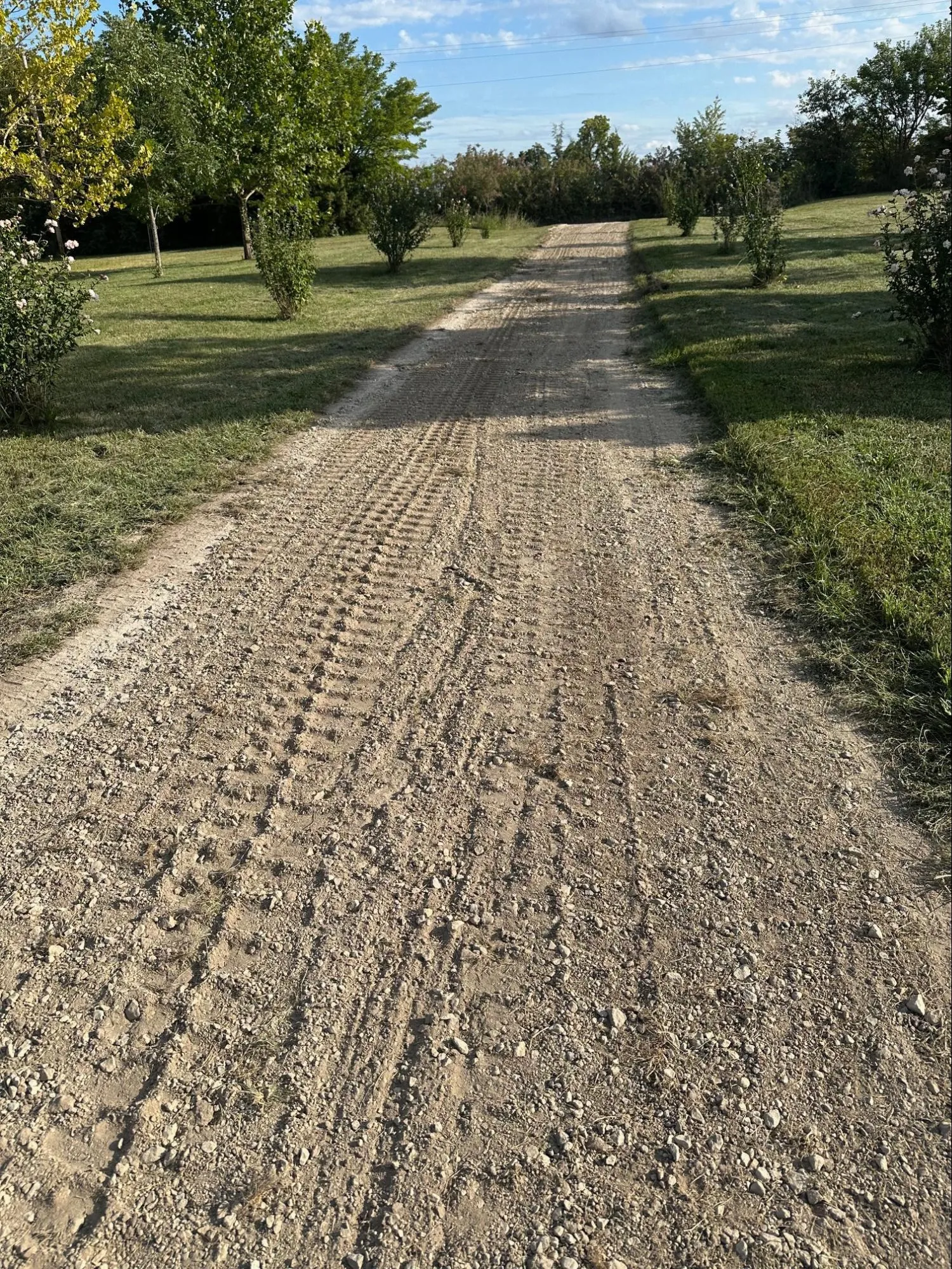 Professional concrete driveway