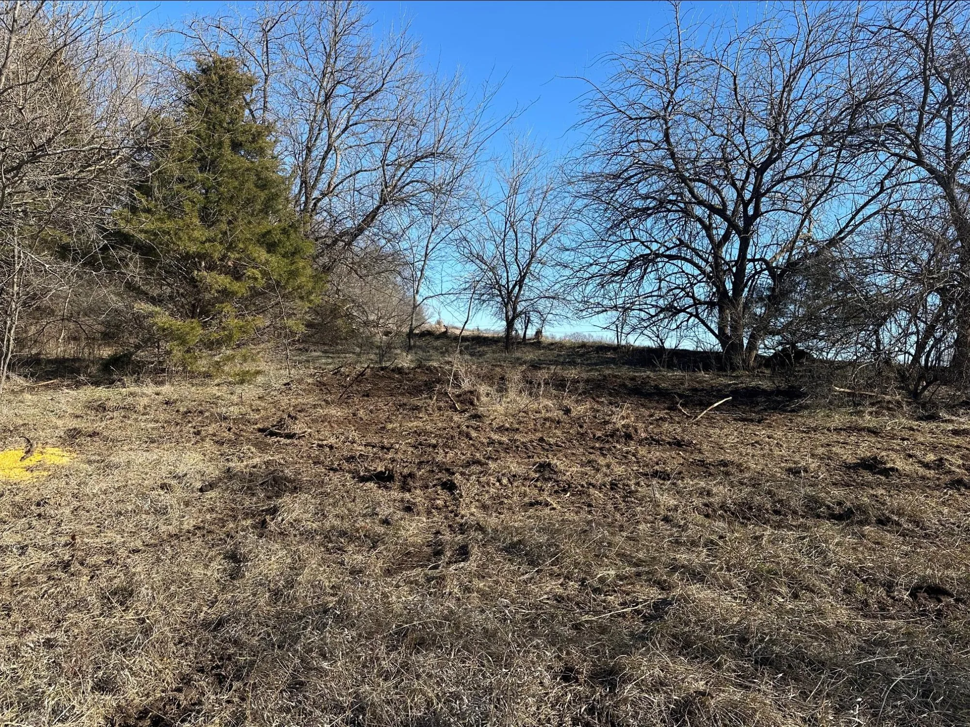 Land Clearing project photo 5 by Callico Development Group