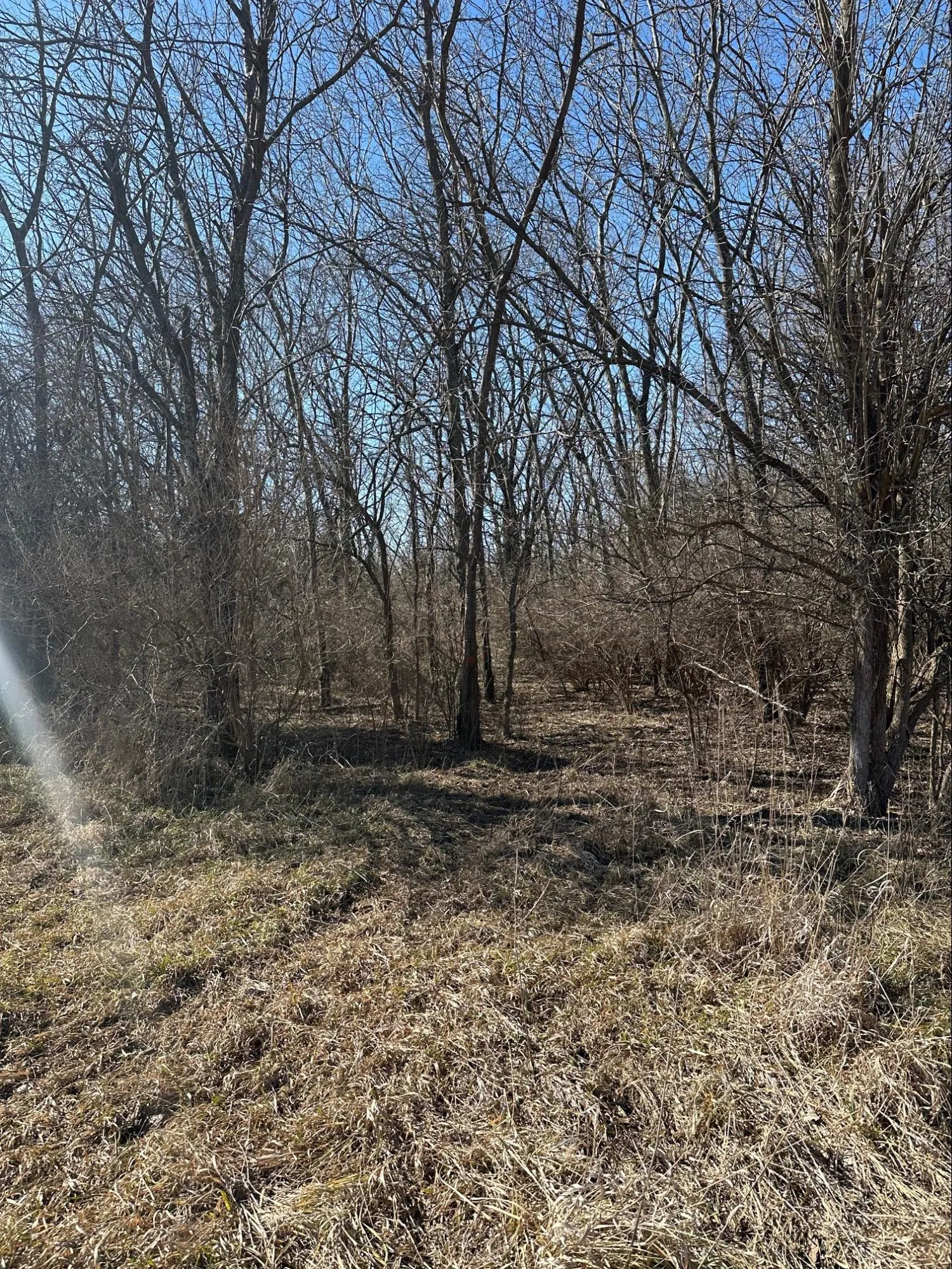 Land Clearing project photo 7 by Callico Development Group