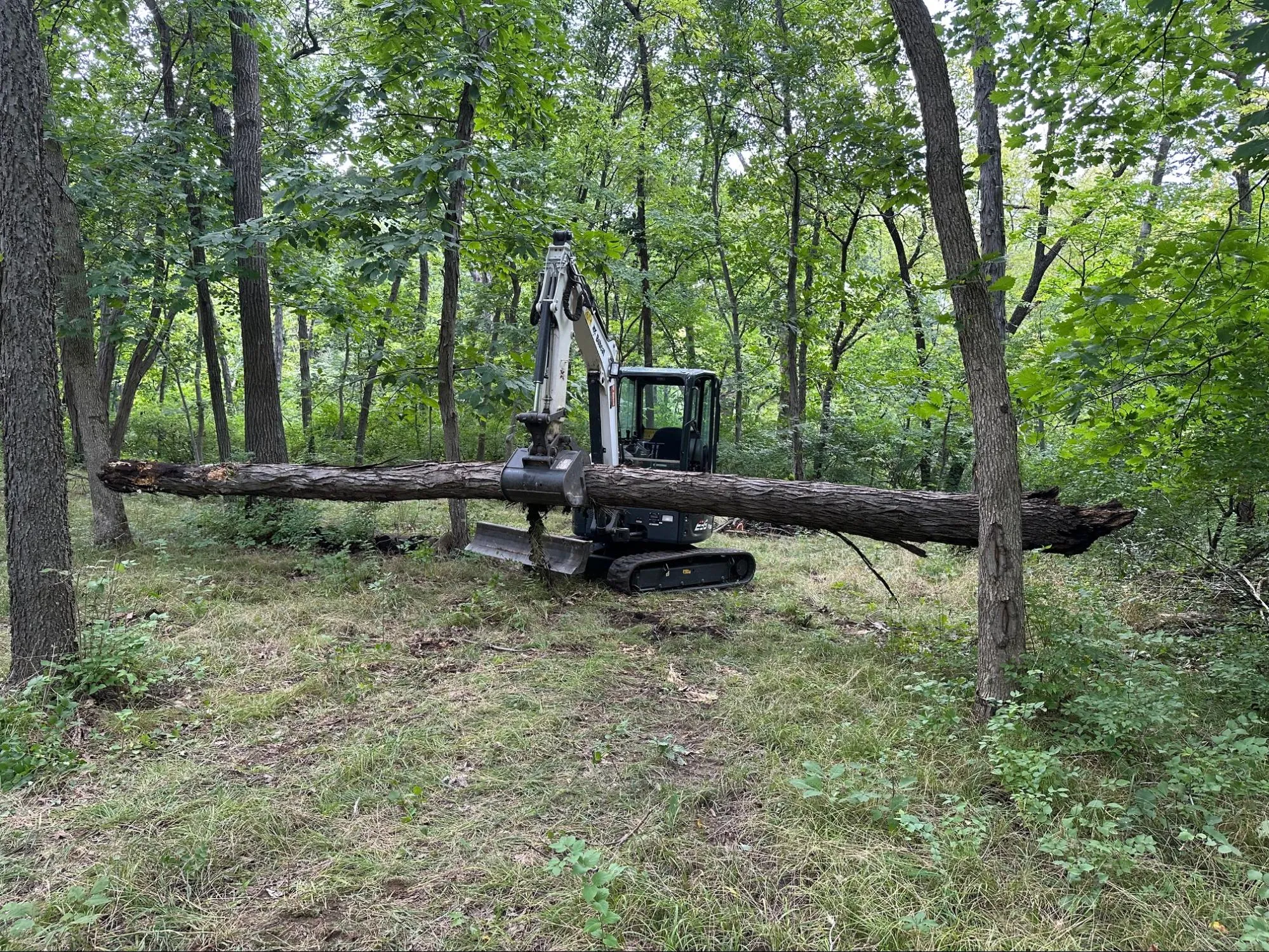 Land Clearing project photo 11 by Callico Development Group