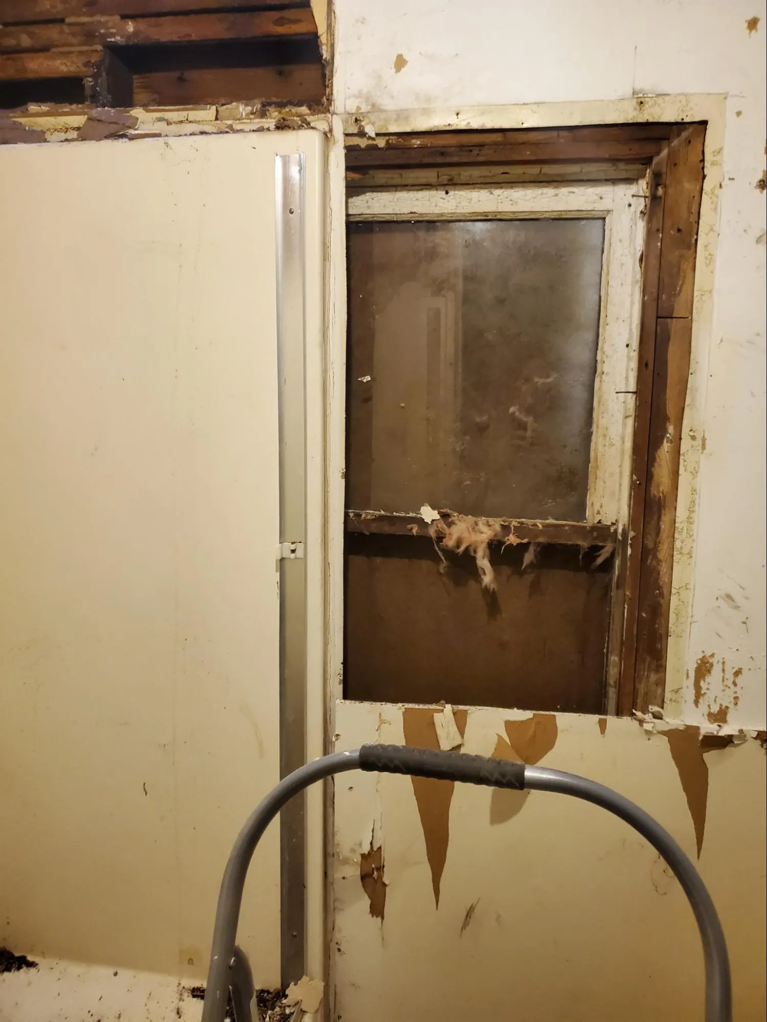 Miscellaneous Services project photo 6 by Callico Development Group