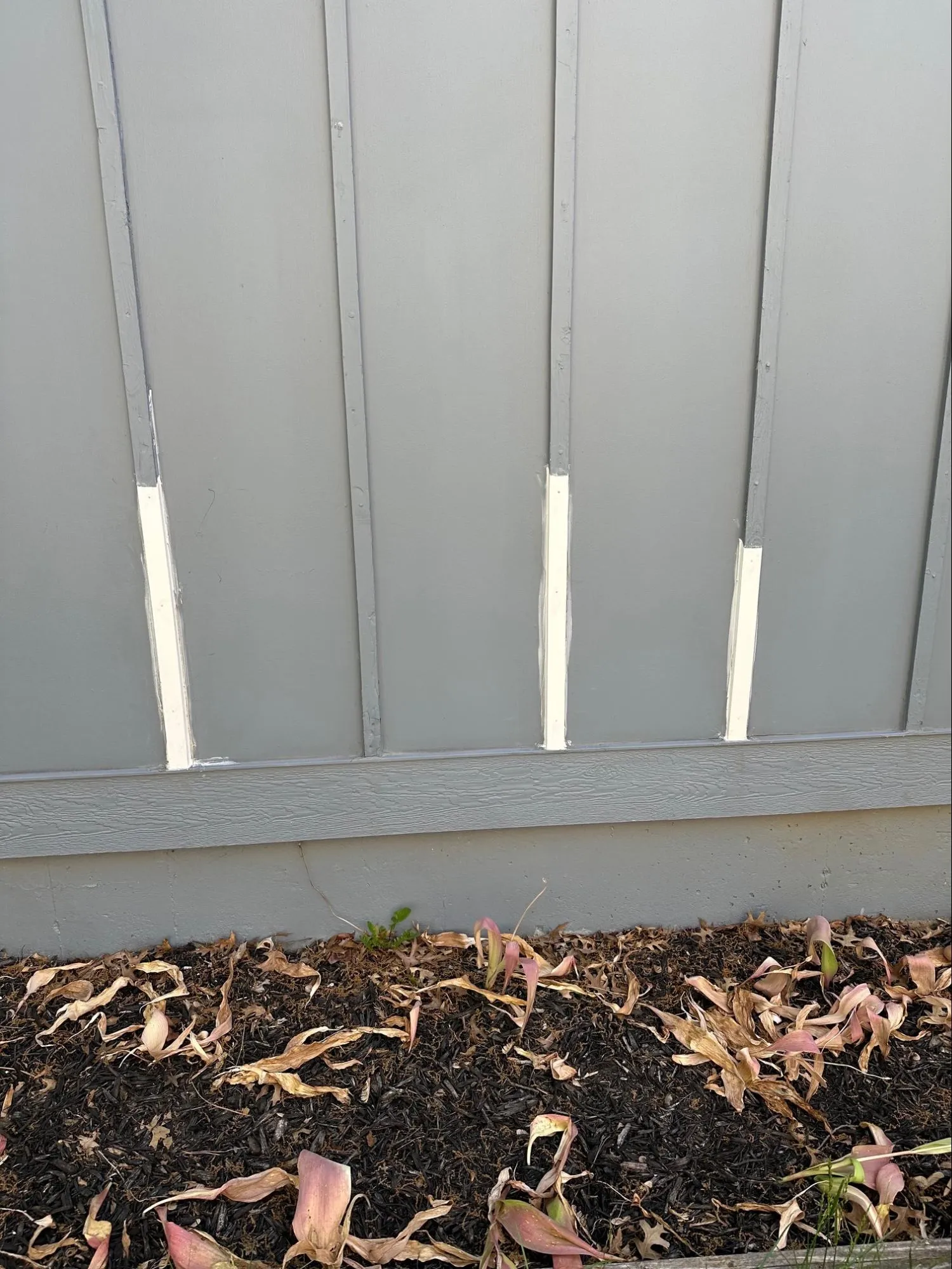 Finished siding project with new exterior